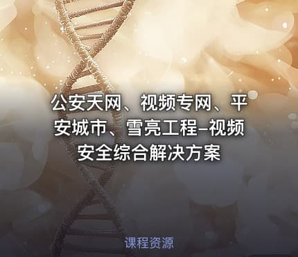 公安天网、视频专网、平安城市、雪亮工程-视频安全综合解决方案