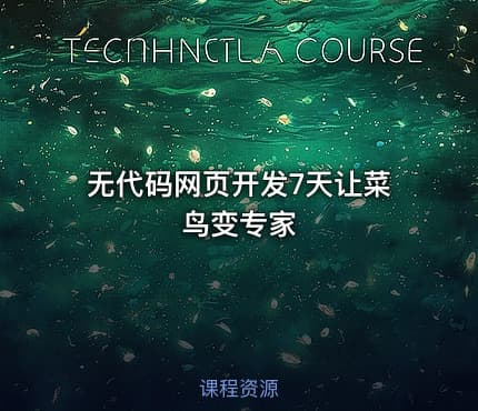 无代码网页开发7天让菜鸟变专家