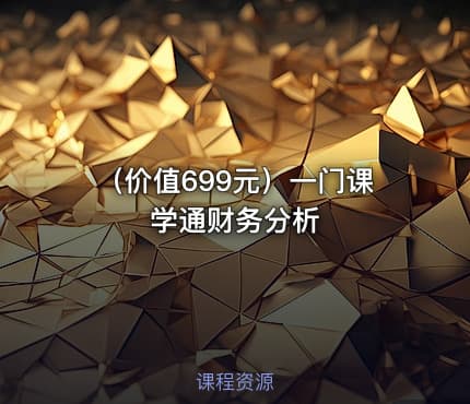（价值699元）一门课学通财务分析