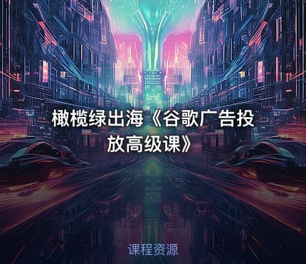 橄榄绿出海《谷歌广告投放高级课》