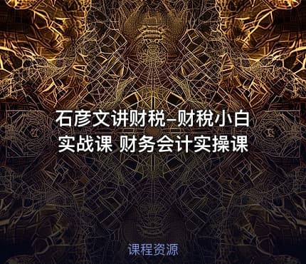 石彦文讲财税-财稅小白实战课 财务会计实操课