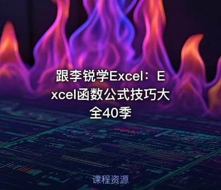 跟李锐学Excel:Excel函数公式技巧大全40季