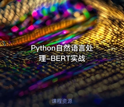 Python自然语言处理-BERT实战