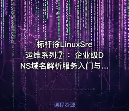 标杆徐LinuxSre运维系列⑦ :企业级DNS域名解析服务入门与实践(10讲)