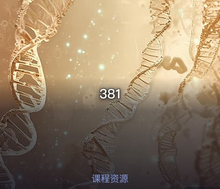 381