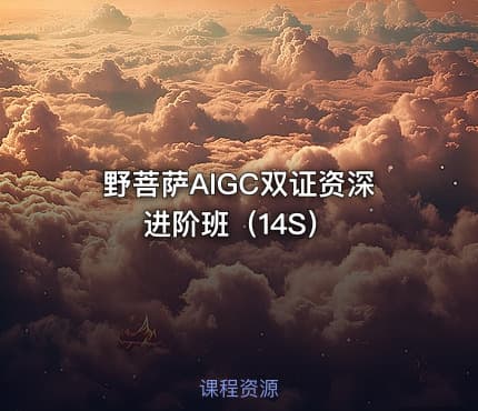 野菩萨AIGC双证资深进阶班(14S)