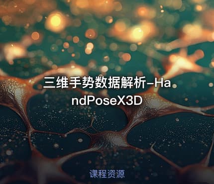 三维手势数据解析-HandPoseX3D