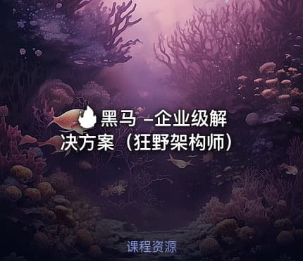 🔥 黑马 -企业级解决方案(狂野架构师)