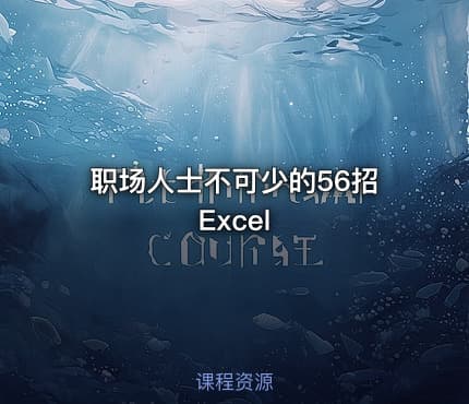 职场人士不可少的56招Excel