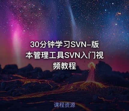30分钟学习SVN-版本管理工具SVN入门视频教程