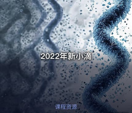 2022年新小滴