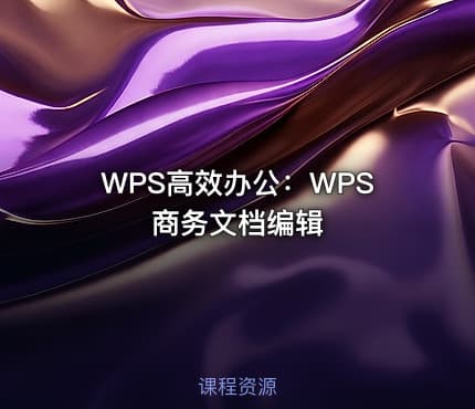WPS高效办公:WPS商务文档编辑