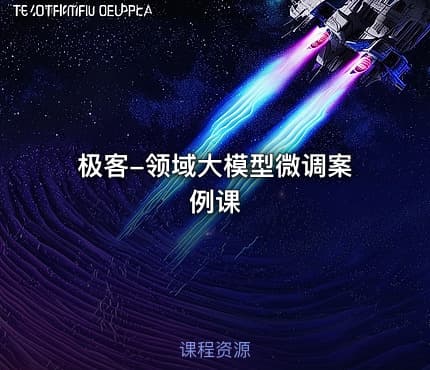 极客-领域大模型微调案例课