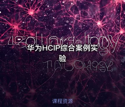 华为HCIP综合案例实验