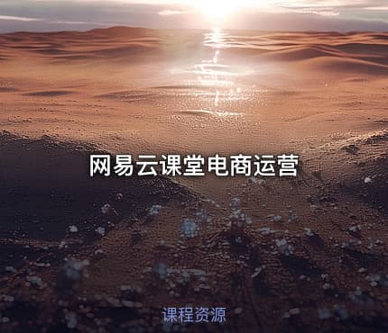 网易云课堂电商运营