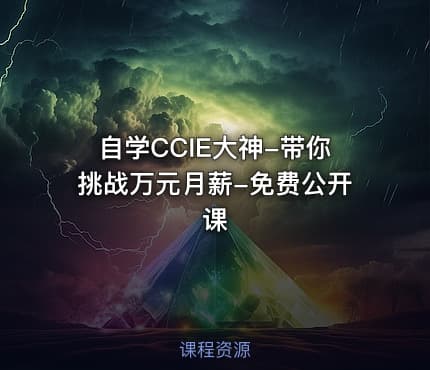 自学CCIE大神-带你挑战万元月薪-免费公开课