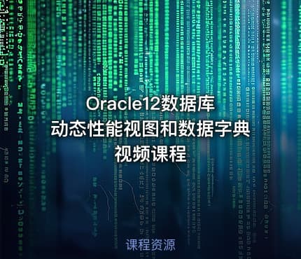 Oracle12数据库动态性能视图和数据字典视频课程