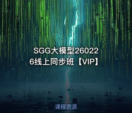 SGG大模型260226线上同步班【VIP】