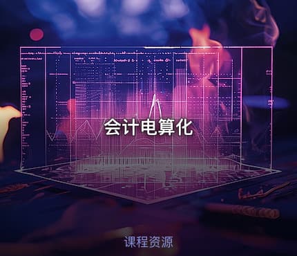会计电算化