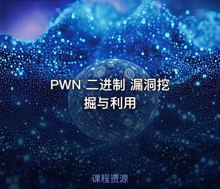 PWN 二进制 漏洞挖掘与利用