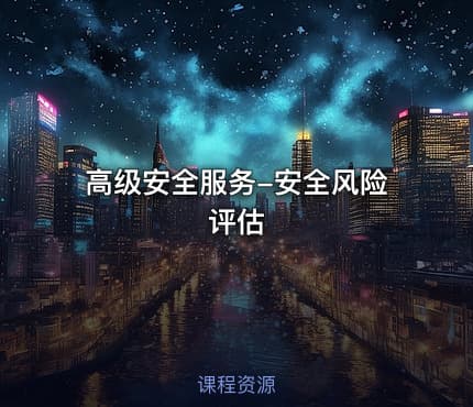 高级安全服务-安全风险评估