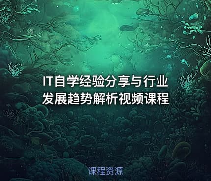 IT自学经验分享与行业发展趋势解析视频课程