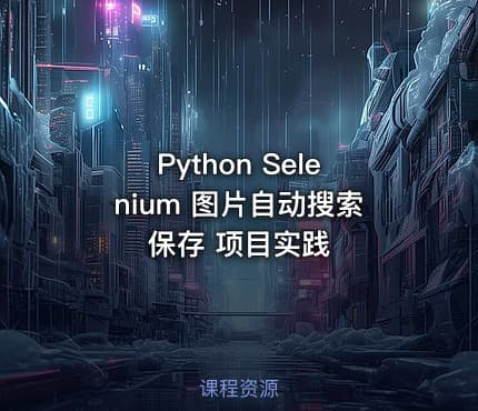 Python Selenium 图片自动搜索保存 项目实践