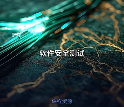软件安全测试