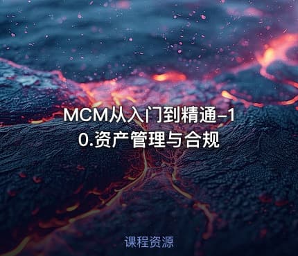 MCM从入门到精通-10.资产管理与合规