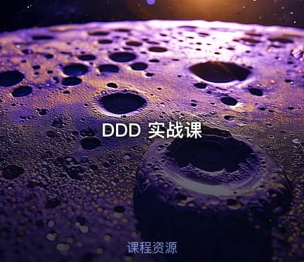DDD 实战课