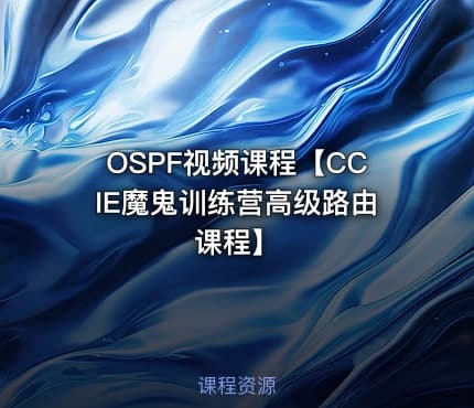 OSPF视频课程【CCIE魔鬼训练营高级路由课程】