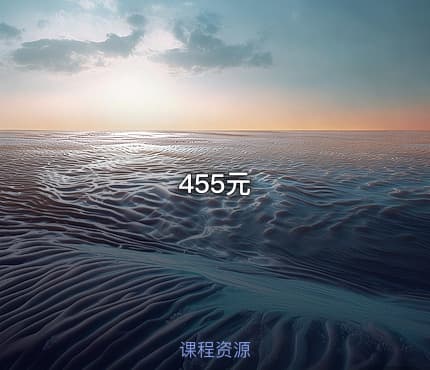 455元