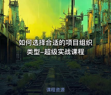 如何选择合适的项目组织类型-超级实战课程