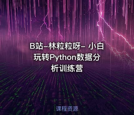 B站-林粒粒呀- 小白玩转Python数据分析训练营