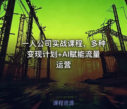 一人公司实战课程,多种变现计划+AI赋能流量运营