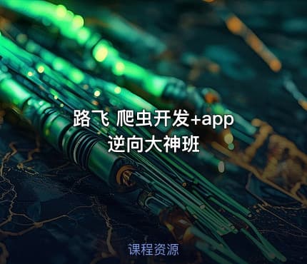 路飞 爬虫开发+app逆向大神班