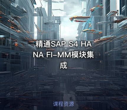 精通SAP S4 HANA FI-MM模块集成