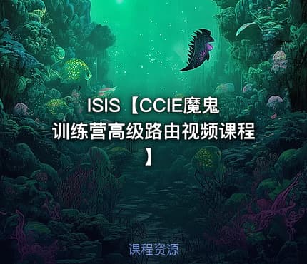 ISIS【CCIE魔鬼训练营高级路由视频课程】