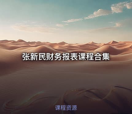张新民财务报表课程合集
