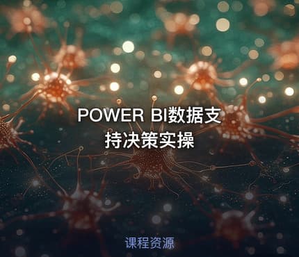 POWER BI数据支持决策实操