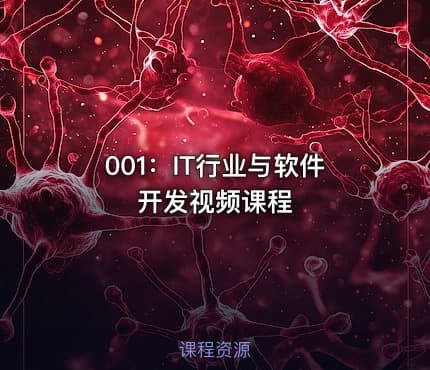 001:IT行业与软件开发视频课程