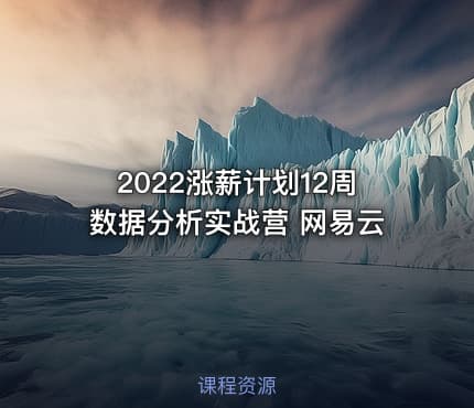 2022涨薪计划12周数据分析实战营 网易云
