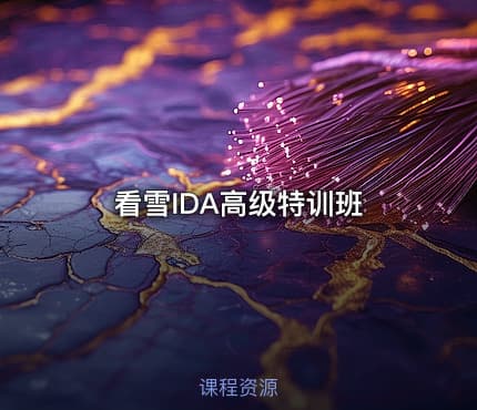 看雪IDA高级特训班