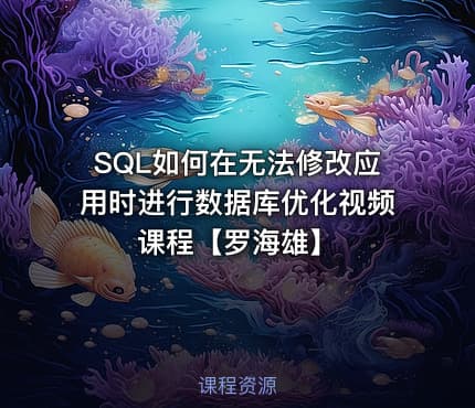 SQL如何在无法修改应用时进行数据库优化视频课程【罗海雄】