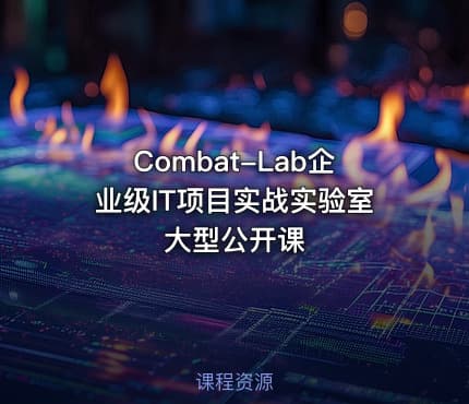 Combat-Lab企业级IT项目实战实验室大型公开课