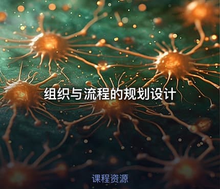 组织与流程的规划设计