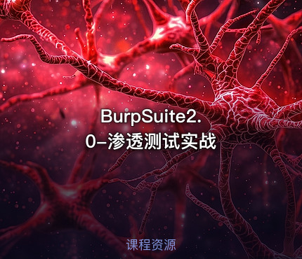 BurpSuite2.0-渗透测试实战