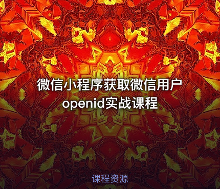 微信小程序获取微信用户openid实战课程