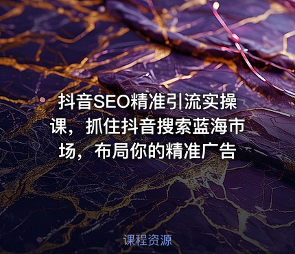 抖音SEO精准引流实操课，抓住抖音搜索蓝海市场，布局你的精准广告