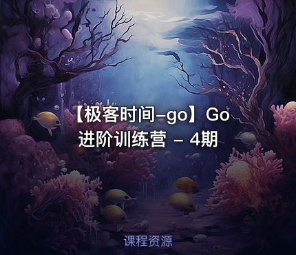 【极客时间-go】Go进阶训练营 - 4期
